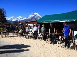 2019_ausstellung polling_619